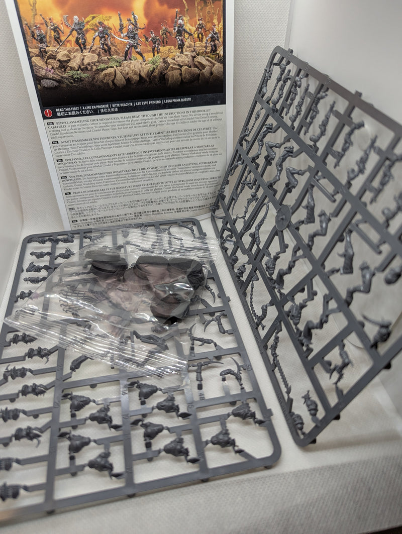 P/O: Drukhari Wyches x10