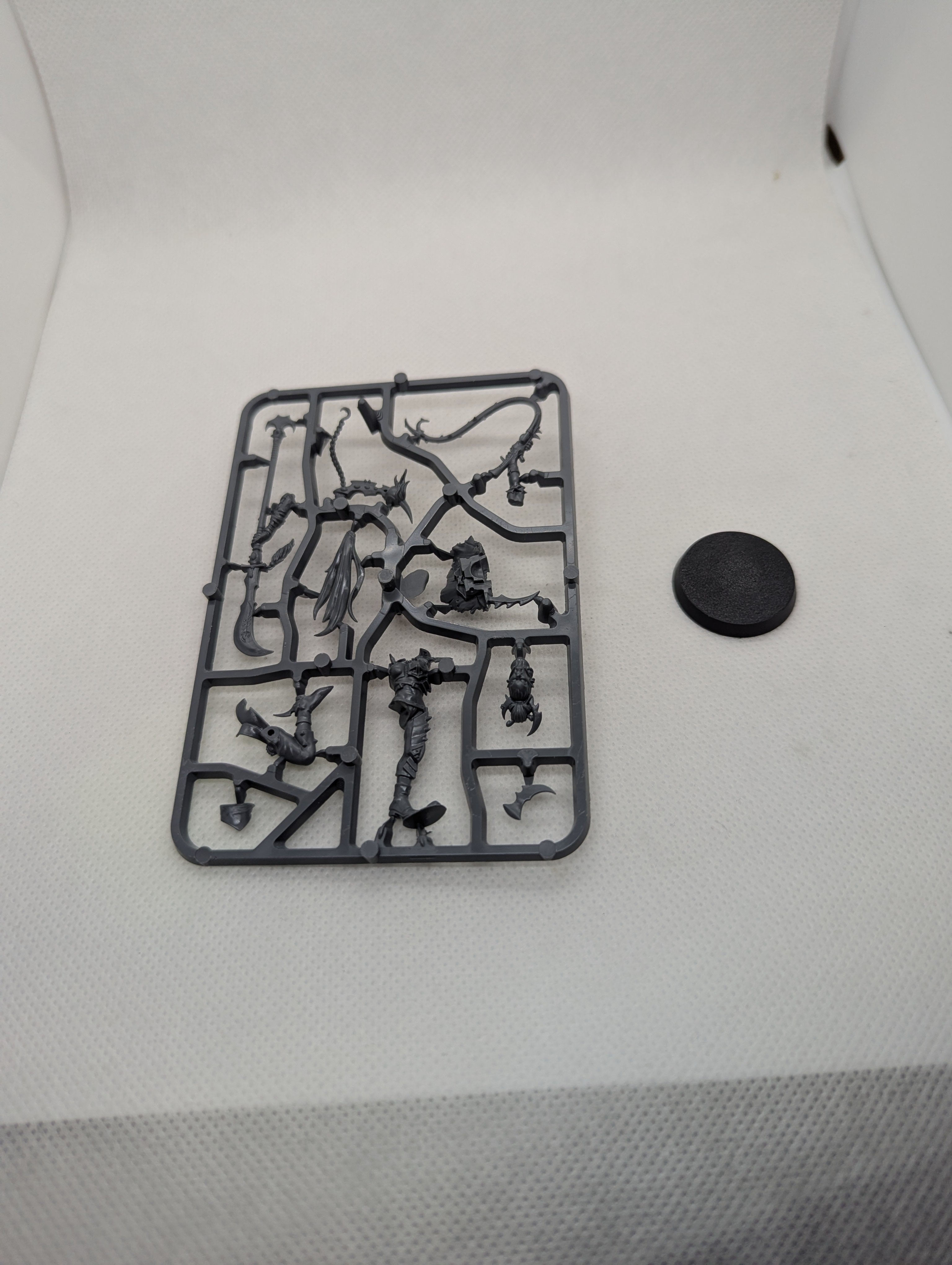 P/O: Drukhari Succubus