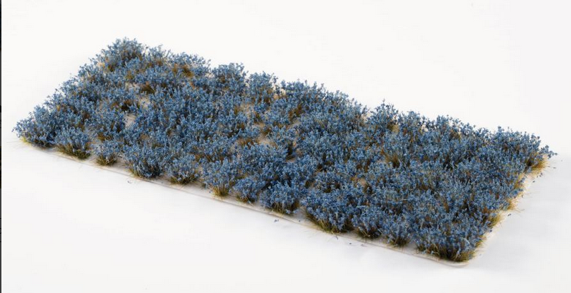 Gamers Grass - Bluebeard Flowers