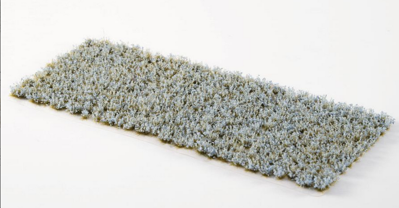 Gamers Grass - Forget-Me-Not Tiny Flowers