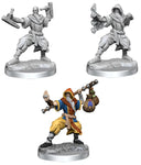 D&D Frameworks: Human Monk Wandering Adventures