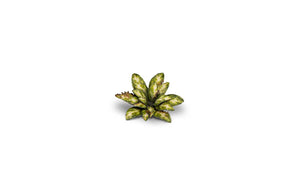 Gamers Grass - Static Tuft Laser Plants - Dumb Cane