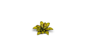 Gamers Grass - Static Tuft Laser Plants - Dumb Cane