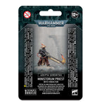 Adepta Sororitas: Ministorum Priest with Vindictor Wandering Adventures