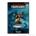 D&D Frameworks: Human Monk Wandering Adventures