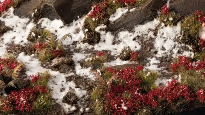 Gamers Grass - Laliguras Flowers