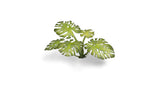 Gamers Grass - Static Tuft Laser Plants - Monstera