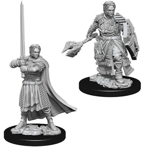 Dungeons & Dragons Marvelous Unpainted Wave 8- Male Human Cleric Wandering Adventures