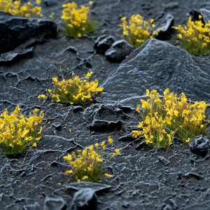 Gamers Grass - Yellow Flowers - Wild