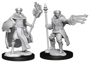 D&D Marvelous Unpainted- Multiclass Cleric + Wizard Male