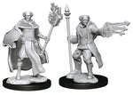 Dungeons & Dragons Marvelous Unpainted- Multiclass Cleric + Wizard Male
