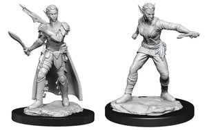 D&D Marvelous Unpainted Wave 13- Shifter Rogue Female