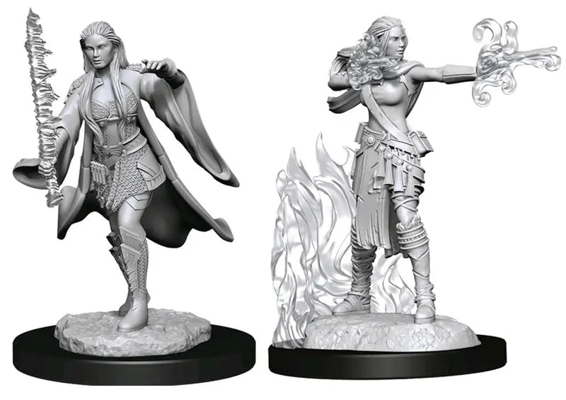 D&D Marvelous Unpainted- Multiclass Warlock + Sorcerer