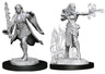 D&D Marvelous Unpainted- Multiclass Warlock + Sorcerer