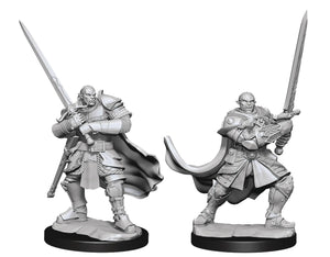 D&D Nolzur's Miniatures- Half-Orc Paladin