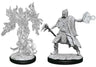 D&D Nolzur's Miniatures- Allip & Deathlock