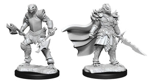D&D Nolzur's Miniatures- Dragonborn Fighter
