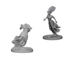 D&D Marvelous Unpainted- Ghost & Banshee