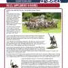 Wargames Illustrated- May 2021- Issue 401
