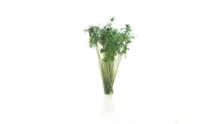 Prairie Grass- Dark Green- Woodland Scenics Tufts