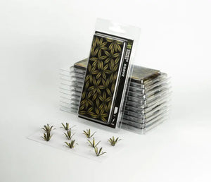 Gamers Grass- Agave