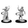 D&D Nolzur's Miniatures- Tiefling Sorcerer