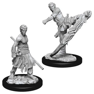 D&D Marvelous Unpainted- Half-Elf Monk