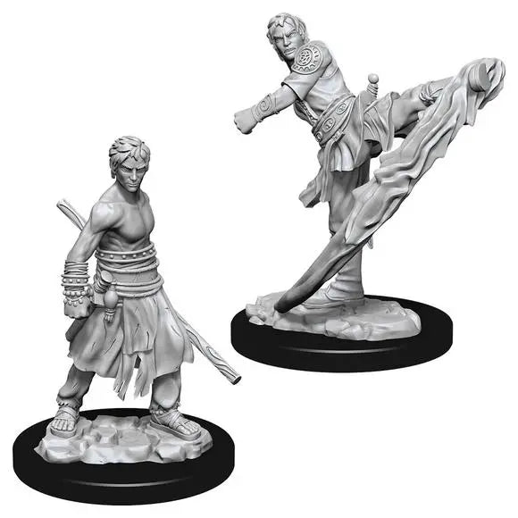 D&D Marvelous Unpainted- Half-Elf Monk