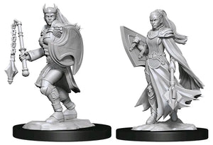 D&D Marvelous Unpainted- Kalashtar Cleric