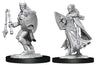 D&D Marvelous Unpainted- Kalashtar Cleric