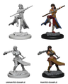 D&D Marvelous Unpainted- Female Human Monk