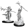 D&D Marvelous Unpainted- Human Druid