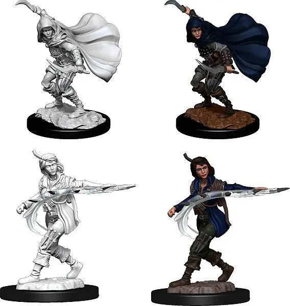 Pathfinder Battles- Female Human Rogue