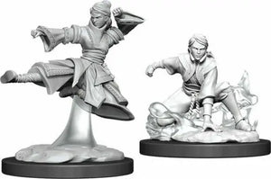 D&D Marvelous Unpainted- Human Monk
