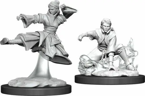 D&D Marvelous Unpainted- Human Monk
