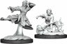 D&D Marvelous Unpainted- Human Monk