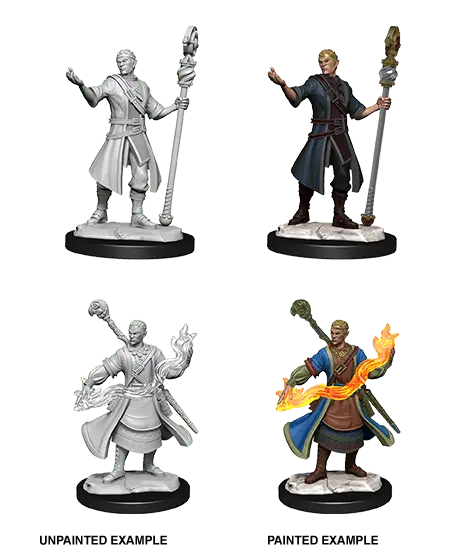 D&D Marvelous Unpainted- Half-Elf Wizard