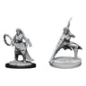 D&D Marvelous Unpainted- Human Monk