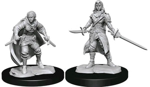 D&D Marvelous Unpainted- Half-Elf Rogue