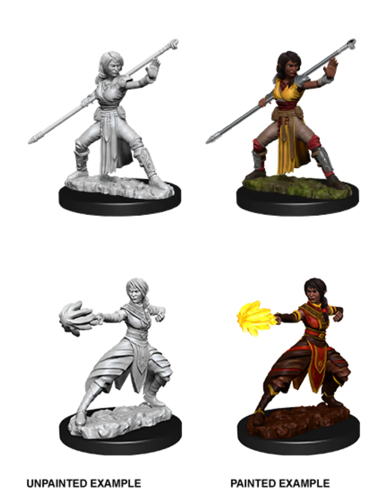 D&D Marvelous Unpainted- Half-Elf Monk