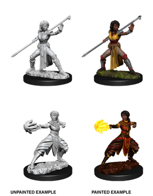 D&D Marvelous Unpainted- Half-Elf Monk