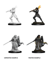 D&D Marvelous Unpainted- Human Paladin