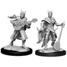 D&D Marvelous Unpainted- Tiefling Bard
