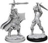 D&D Marvelous Unpainted- Human Paladin