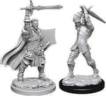 Dungeons & Dragons Marvelous Unpainted- Human Paladin Wandering Adventures