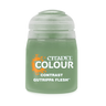 Gutrippa Flesh Contrast Colour- Citadel