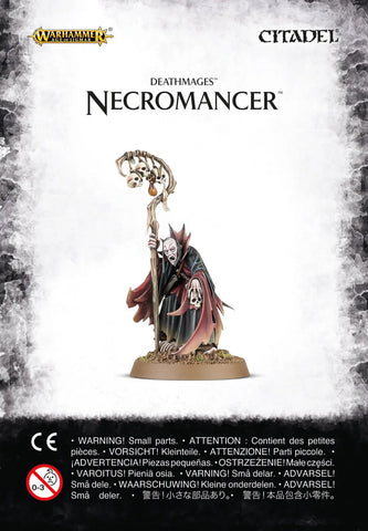 Soulblight Gravelords: Necromancer Wandering Adventures
