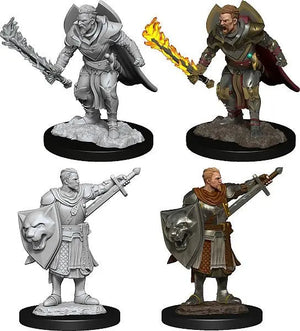 Pathfinder Battles-Male Human Champion