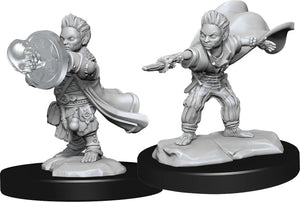 Pathfinder Battles-Male Halfling Wizard