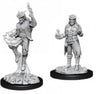 D&D Marvelous Unpainted Wave 12- Male Tiefling Sorcerer
